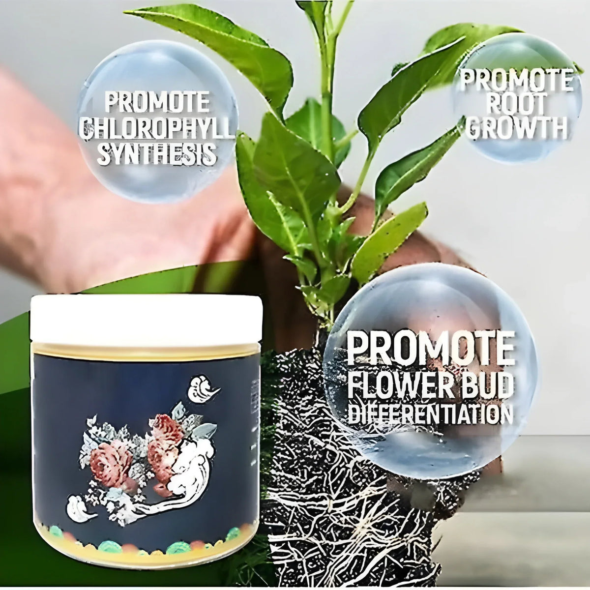 Bloom & Fruit Booster