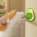 Catnip Avocado Ball Toy