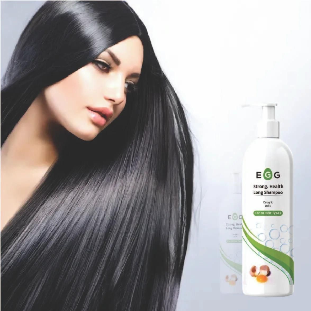 Egg Protein Hair Shampoo 100ML Each (Pack of 2)
