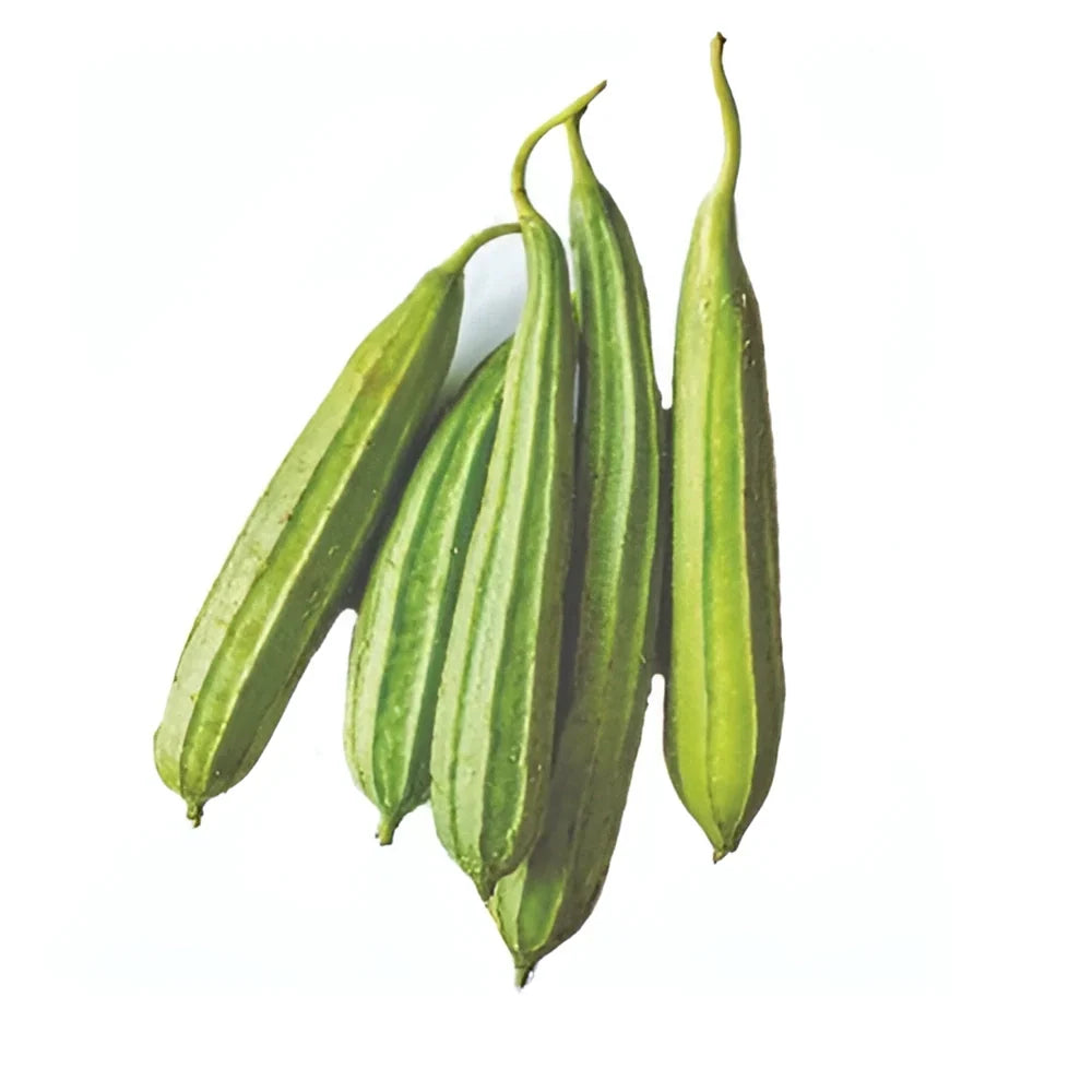 Natural Luffa Sponge Seed