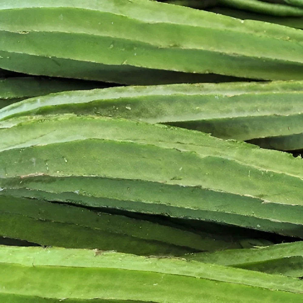 Natural Luffa Sponge Seed