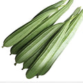 Natural Luffa Sponge Seed
