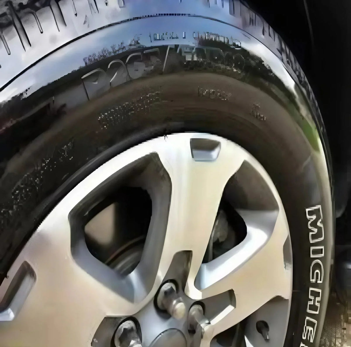 Pro Tire Shine Paste