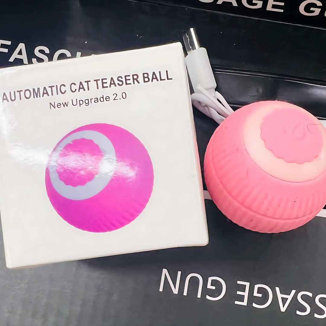 Purrfect Spin Rechargeable Cat Toy